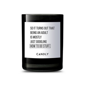 Candly - Mirisna svijeća od sojinog voska So It Turns Out That Being an Adult is Mostly Just Googling Hot to Do Stuff