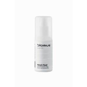 Tekućina za čišćenje čelika Blomus meda 100 ml