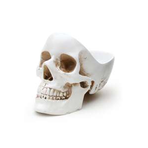 Kutijca za sitnice Luckies of London Skull Tidy