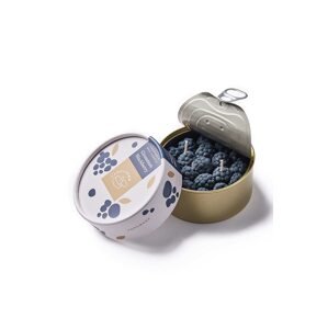 Mirisna svijeća CandleCan Cinnamon Blackberry