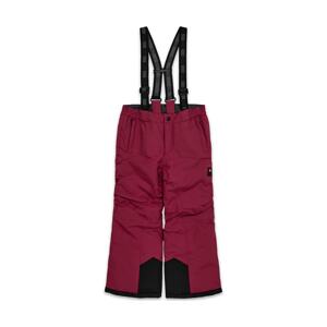 Dječje skijaške hlače Lego Wear boja: bordo