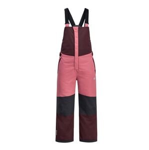 Dječje skijaške hlače Jack Wolfskin ACTAMIC 2L INS BIB boja: ružičasta