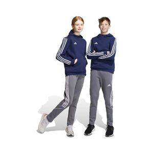 Dječji donji dio trenirke adidas Performance TIRO23L SW PNTY boja: siva, s uzorkom