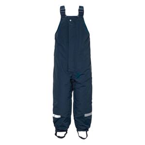 Dječje skijaške hlače Didriksons TARFALA KIDS PANTS boja: tamno plava