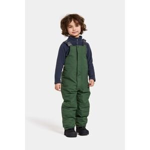 Dječje skijaške hlače Didriksons TARFALA KIDS PANTS boja: zelena