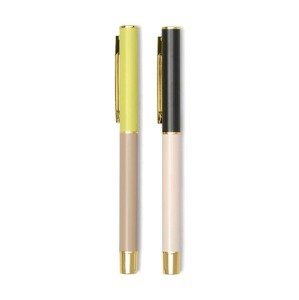 Set kemijskih olovaka Designworks Ink 2-pack