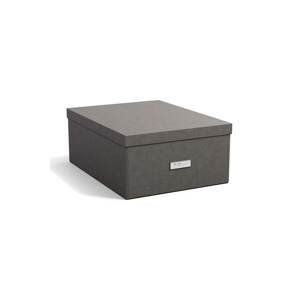 Kutija za pohranu Bigso Box of Sweden Katrin