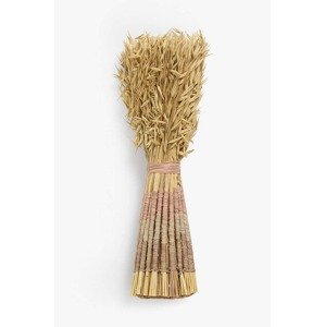 Sušeno bilje Calma House Raphia 38-40 cm