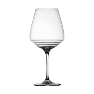 Set čaša za vino Zafferano Esperienze Goblet 450 ml 2-pack