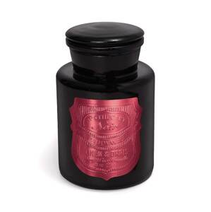 Mirisna svijeća od sojinog voska Paddywax Apothecary Linen & Orris 226 g