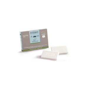 Uložak za difuzor u automobilu Esteban Pur Lin 2-pack