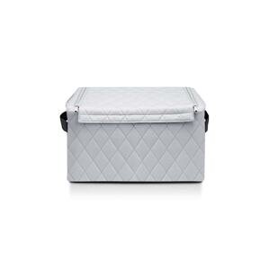 Kutija za pohranu Reisenthel Storagebox M