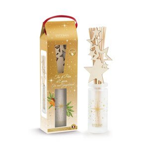 Raspršivač mirisa Esteban Tea and Gingerbread 100 ml