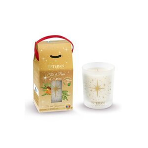 Mirisna svijeća Esteban Tea and Gingerbread 180 g