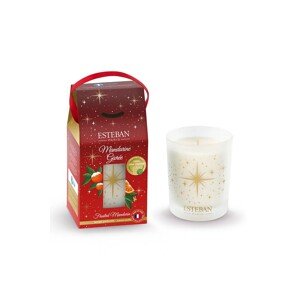 Mirisna svijeća Esteban Frosted Mandarin 180 g