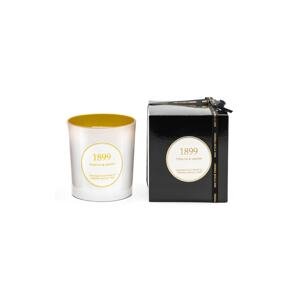 Mirisna svijeća od sojinog voska Cereria Molla Tobacco & Amber 600 g