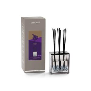Raspršivač mirisa Esteban Triptyque Figue Noire 250 ml