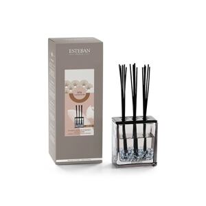 Raspršivač mirisa Esteban Triptyque Iris Cashmere 250 ml