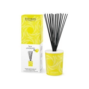 Raspršivač mirisa Esteban Terre d'Agrumes 100 ml