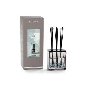 Raspršivač mirisa Esteban Triptyque Pur Lin 250 ml
