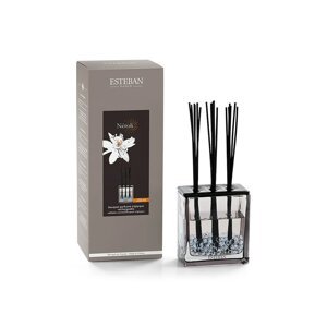 Raspršivač mirisa Esteban Triptyque Neroli 250 ml