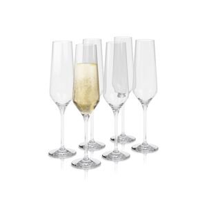 Set čaša za šampanjac Eva Solo Legio Nova 260 ml 6-pack
