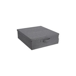 Kutija za pohranu Bigso Box of Sweden boja: siva