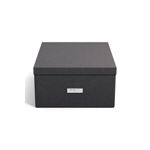 Kutija za pohranu Bigso Box of Sweden XL boja: crna